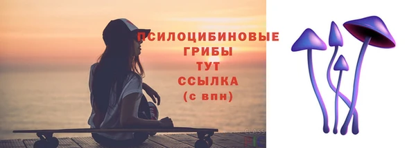 прущие грибы Алексеевка