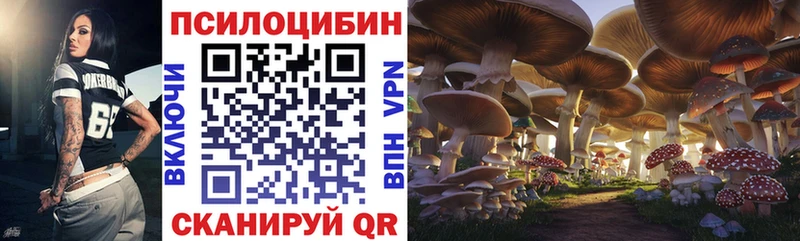 закладка  KRAKEN tor  Галлюциногенные грибы Psilocybe  Краснотурьинск 