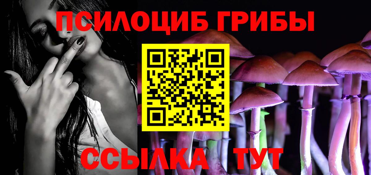 магазин продажи   Псилоцибиновые грибы Magic Shrooms  Вход с VPN  Псилоцибиновые грибы Cubensis  Краснотурьинск 